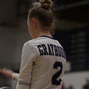 Meet your Posher, Avery